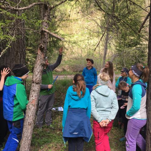 Die Schüler untersuchen den Wald.